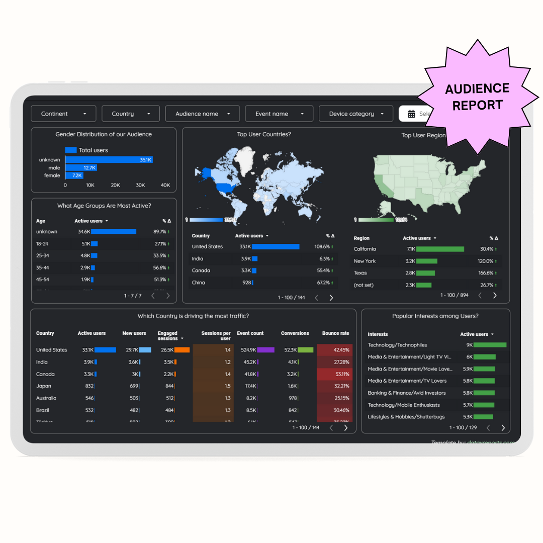 Audience Report - dataxreports.com